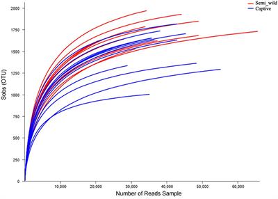 Gut Microbiomes of Endangered Przewalski’s Horse Populations in Short- and Long-Term <mark class="highlighted">Captivity</mark>: Implication for Species Reintroduction Based on the Soft-Release Strategy